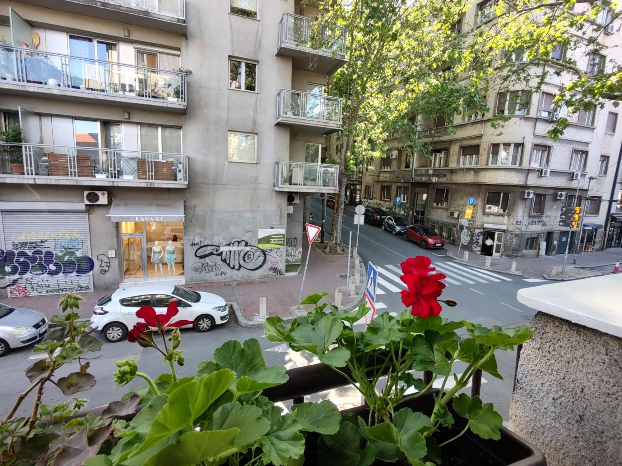 Bgholik Studio Apartment Belgrado Esterno foto
